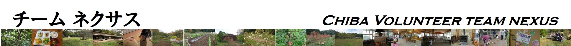 nexusのホームページ