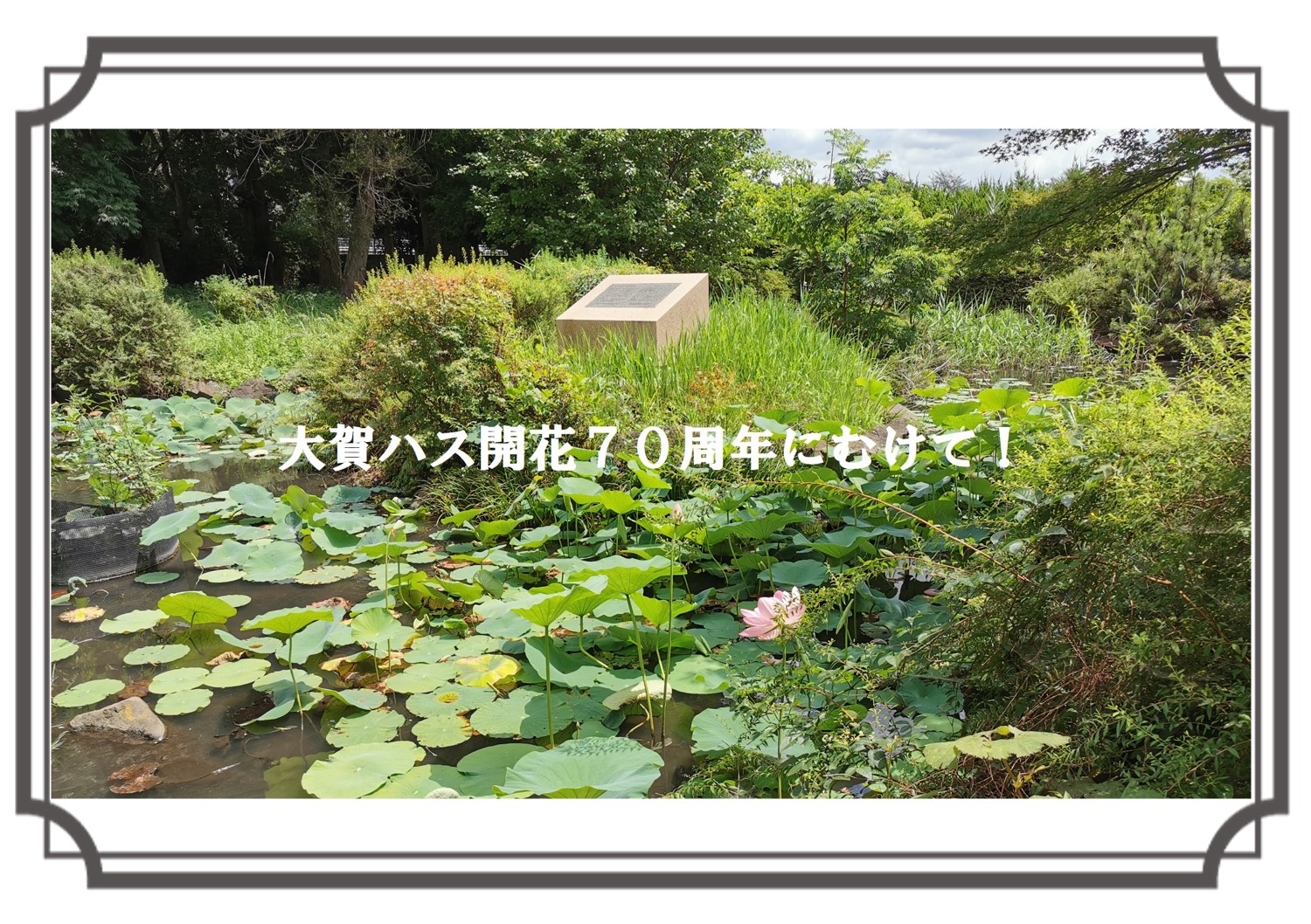 タイムトライアル3