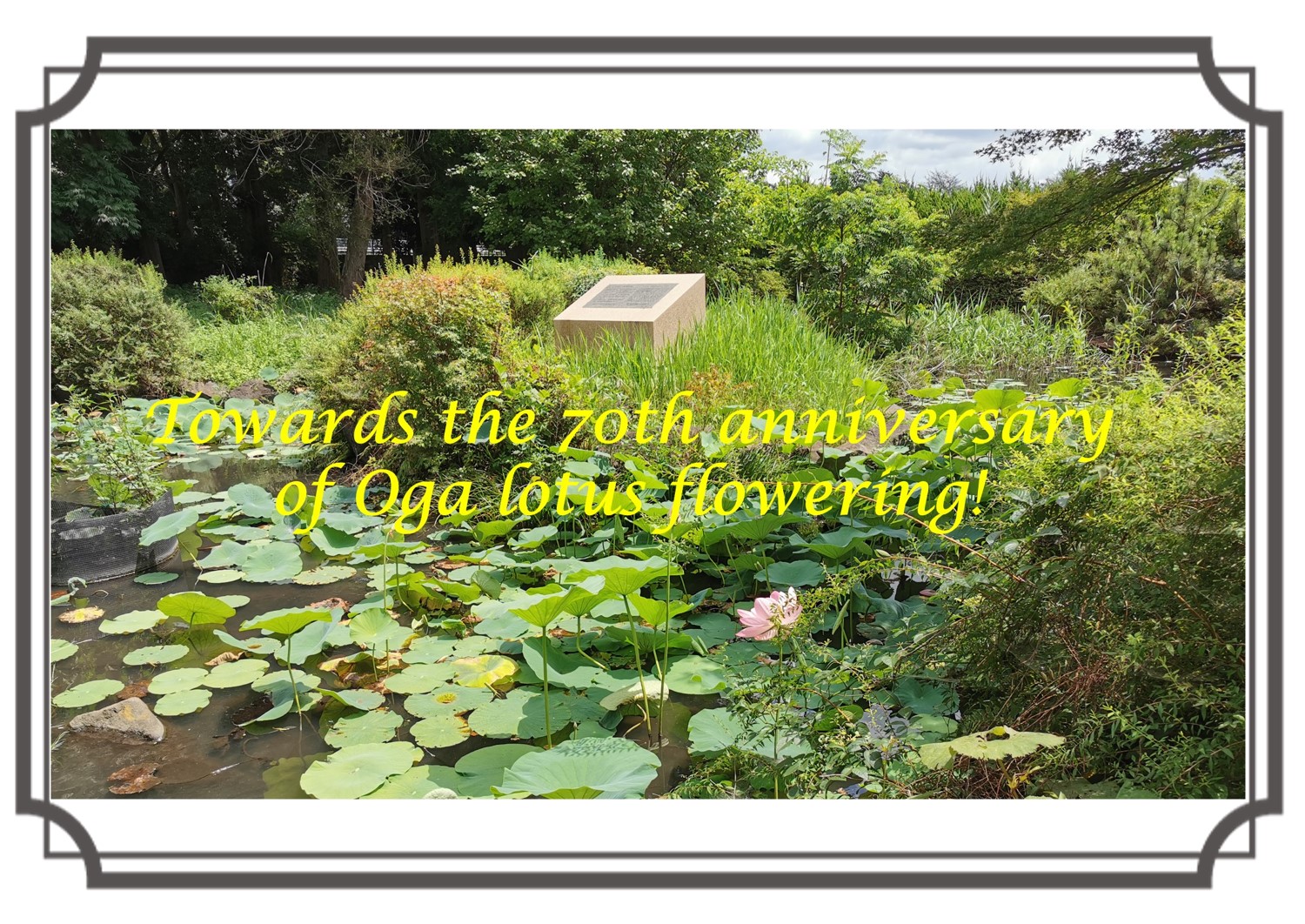 タイムトライアル3